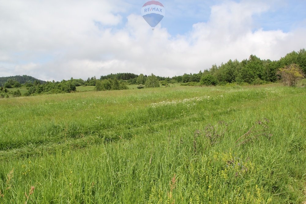 Działka leśna na sprzedaż Krośnica  8 049m2 Foto 14