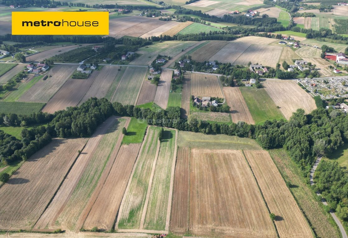 Działka siedliskowa na sprzedaż Momina  8 400m2 Foto 1