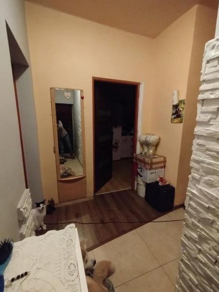 Mieszkanie dwupokojowe na sprzedaż Dąbrowa Górnicza, Gołonóg, III Powstania Śląskiego  47m2 Foto 4