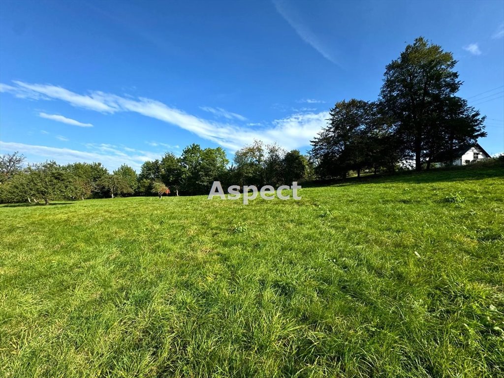Działka budowlana na sprzedaż Jaworze  1 168m2 Foto 1