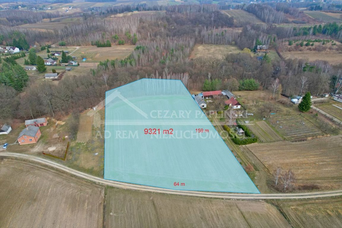 Unikalna działka z lasem, 9 321 m², blisko Lublina Zawada, Zawada, Celejów, Rąblów  9 321m2 Foto 1