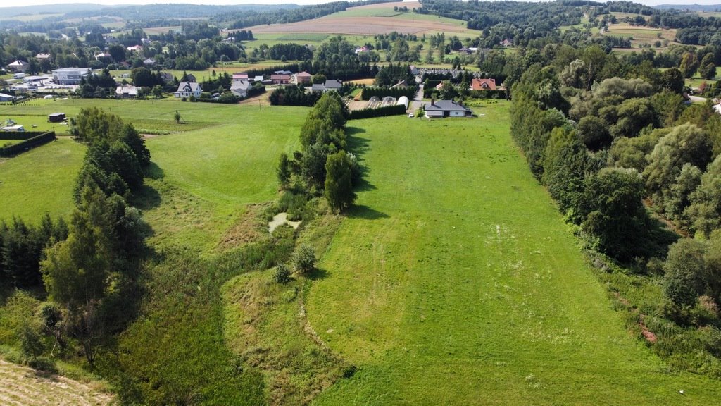 Działka budowlana na sprzedaż Borek Stary  3 100m2 Foto 4