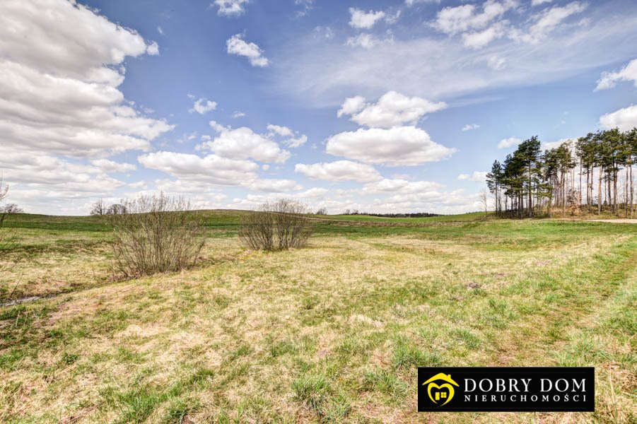 Działka rolna na sprzedaż Jałowo  23 300m2 Foto 17