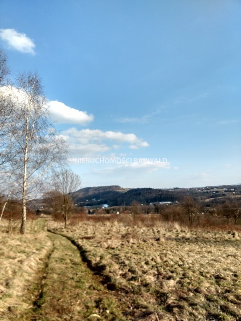 Działka rolna na sprzedaż Podolany  32 800m2 Foto 6