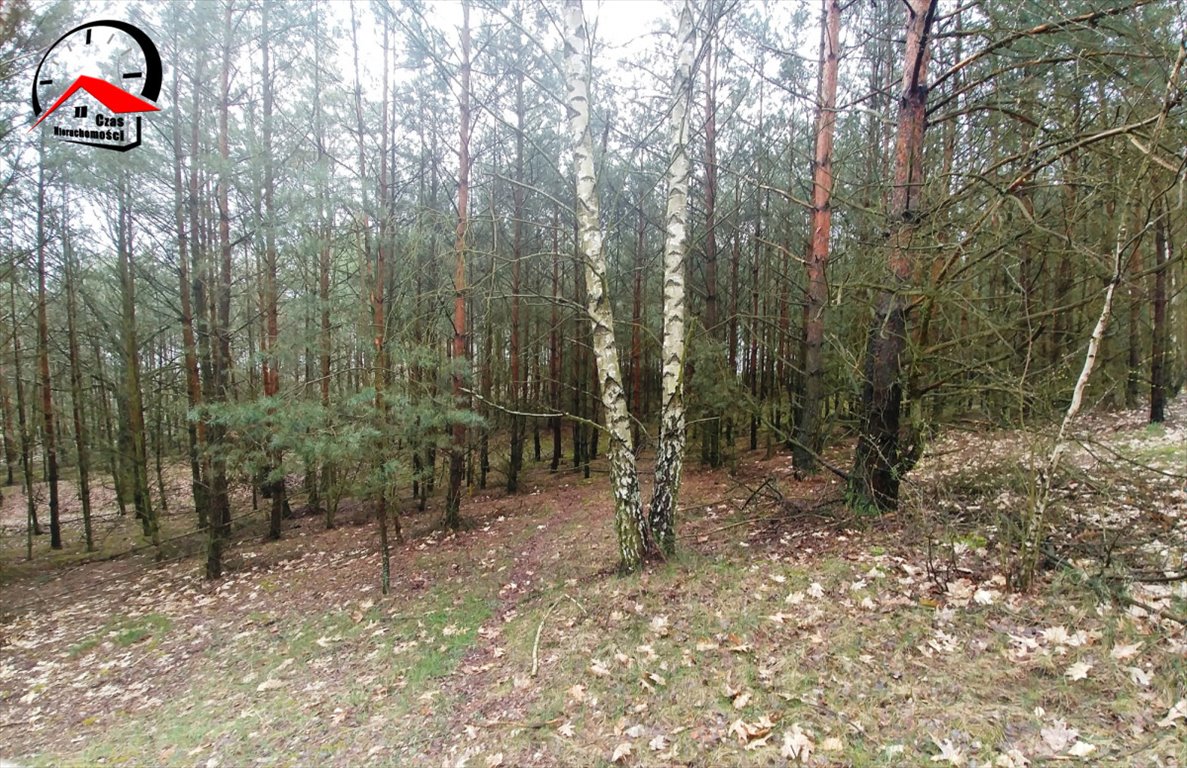 Działka gospodarstwo rolne na sprzedaż Smólniki Osieckie  10 000m2 Foto 5