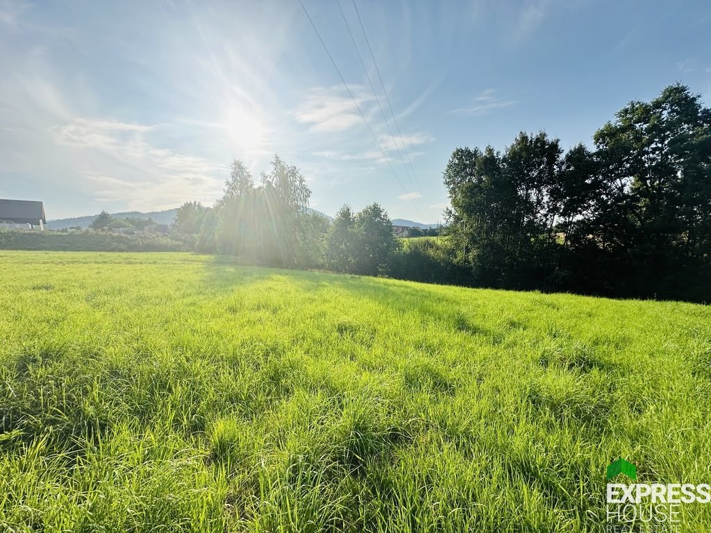 Działka budowlana na sprzedaż Lipowa, Promienna  1 747m2 Foto 4