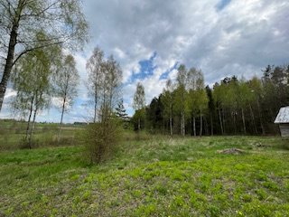 Działka rolna na sprzedaż Pajtuny  4 000m2 Foto 3