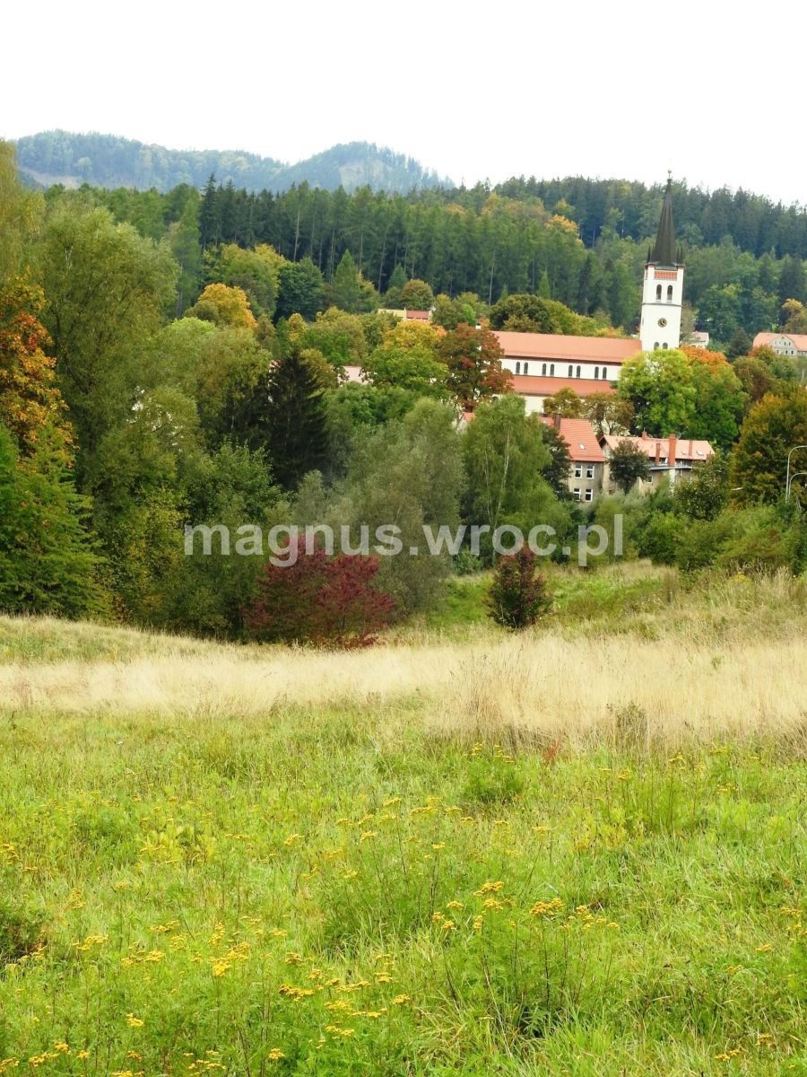 Działka budowlana na sprzedaż Jedlina-Zdrój, Kościelna  1 499m2 Foto 5