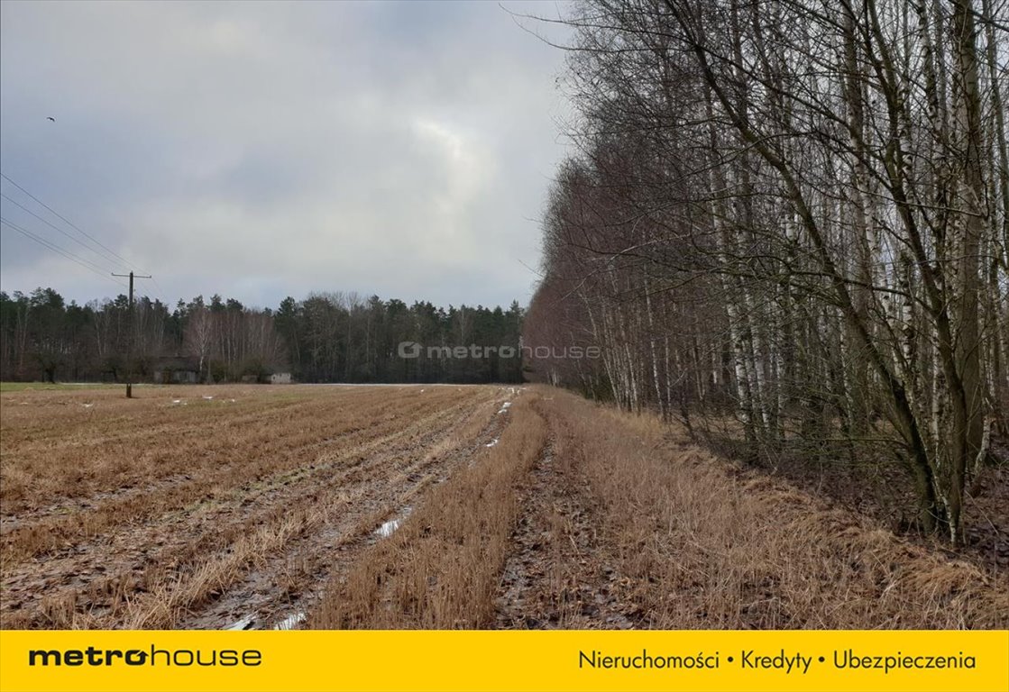 Działka leśna na sprzedaż Wojnów  14 500m2 Foto 7