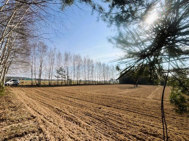 Działka budowlana 3434 m² w Powałkach – media, spokojna okolica Powałki, Sosnowa  3 434m2 Foto 1