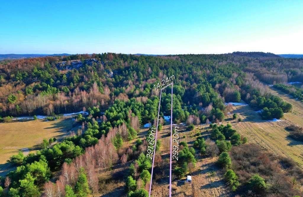 Działka rolna na sprzedaż Niegowa  3 233m2 Foto 1