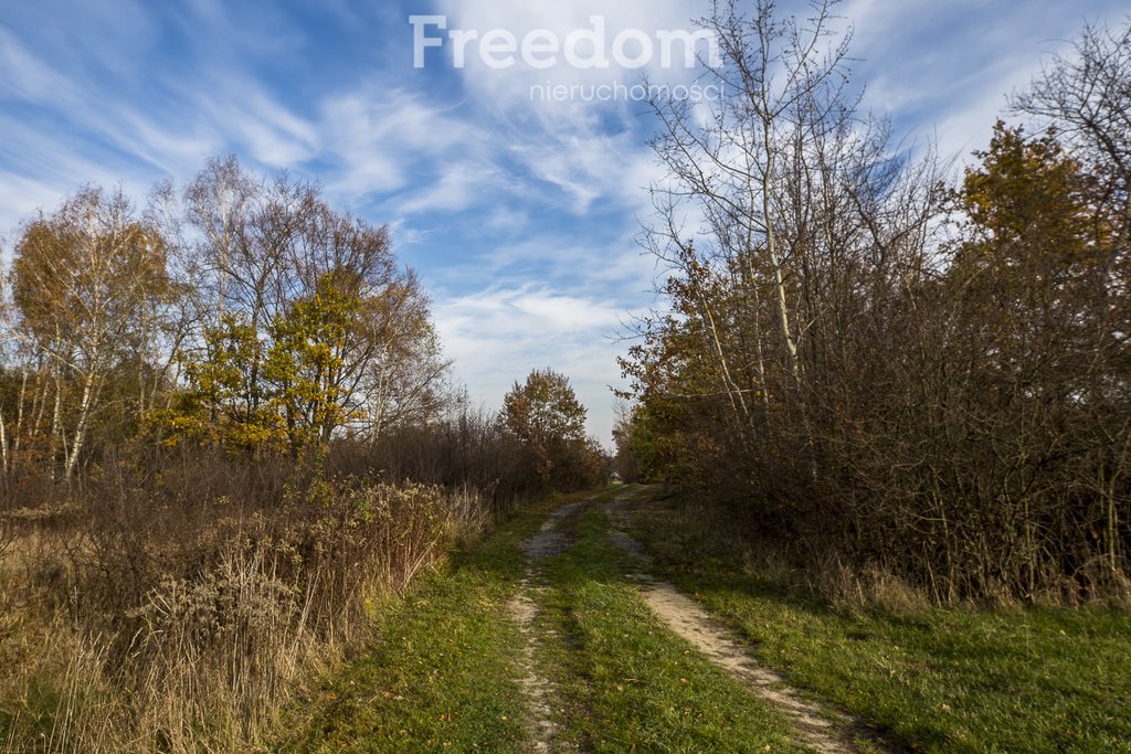 Działka budowlana na sprzedaż Maleniska  6 714m2 Foto 10