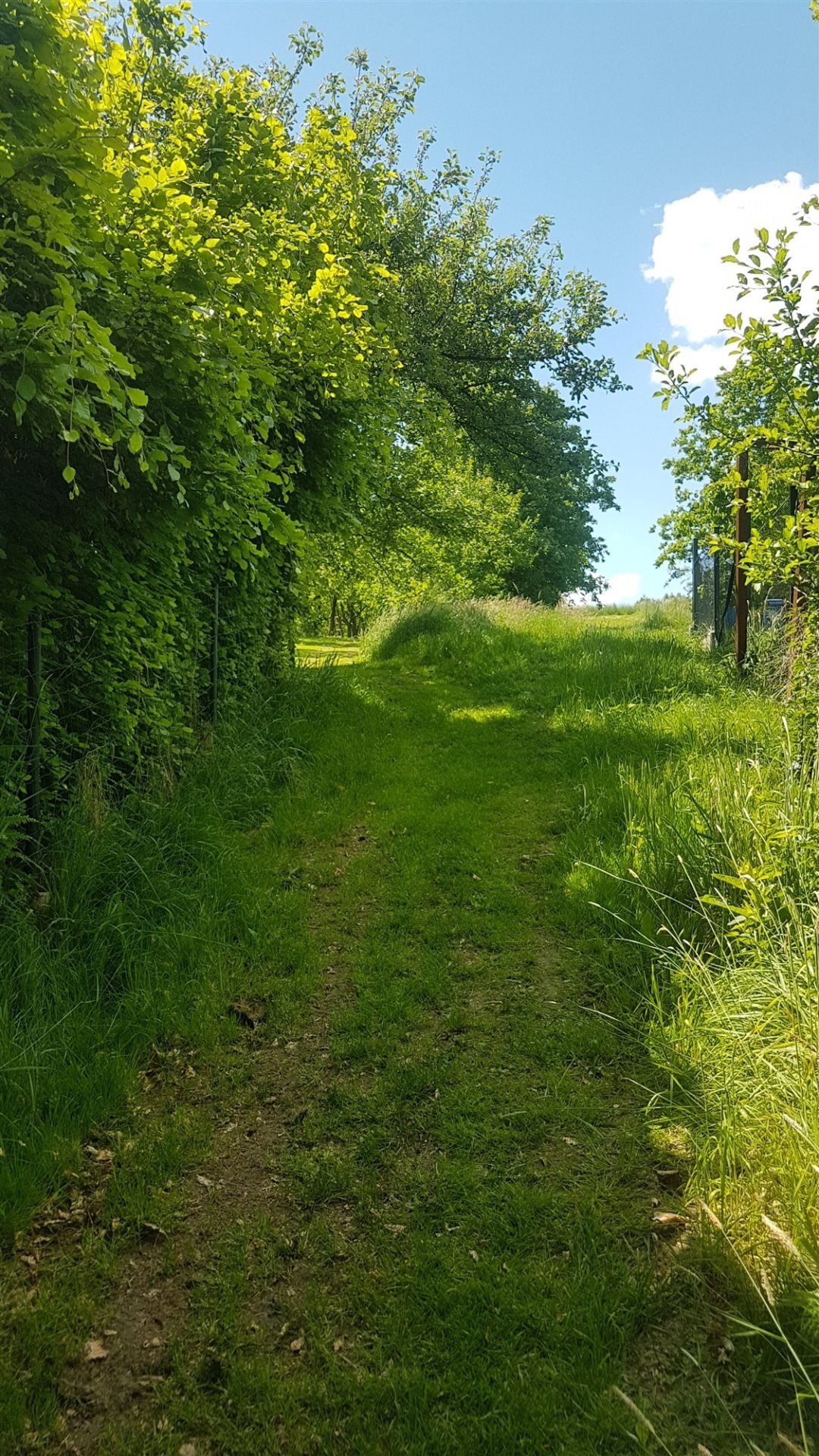 Działka budowlana na sprzedaż Rybna, Dębowa  800m2 Foto 2