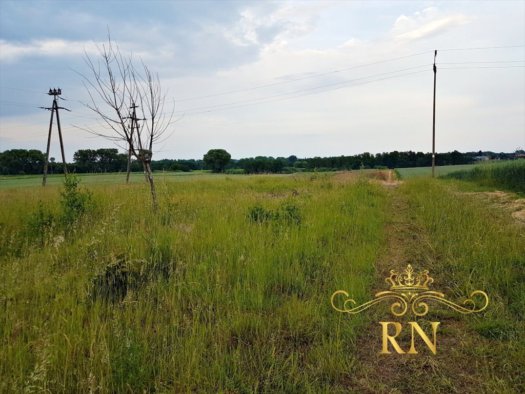 Działka siedliskowa na sprzedaż Tomaszowice-Kolonia  3 000m2 Foto 2