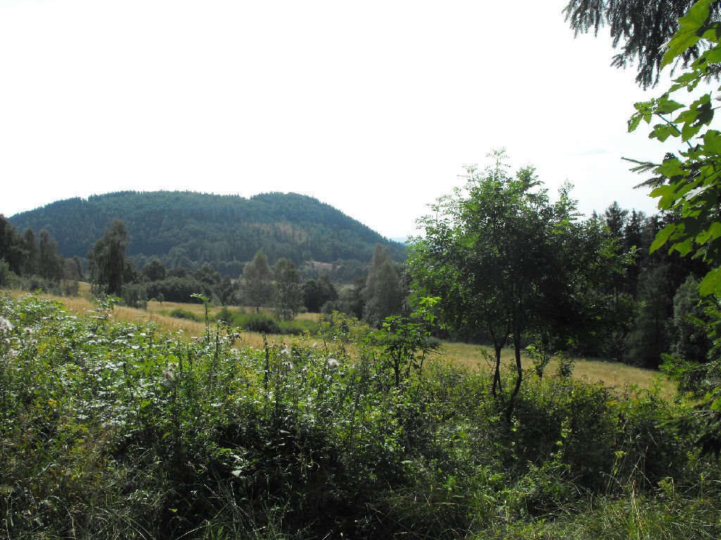 Działka inna na sprzedaż Boguszów-Gorce  80 000m2 Foto 4