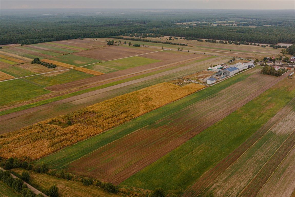 Lokal użytkowy na sprzedaż Tomice, Wodna  1 410m2 Foto 26