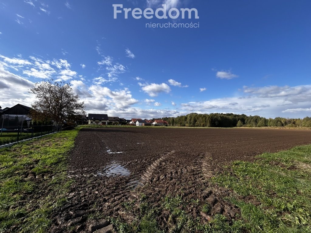 Działka rolna na sprzedaż Polanka Wielka, Spacerowa  5 488m2 Foto 4