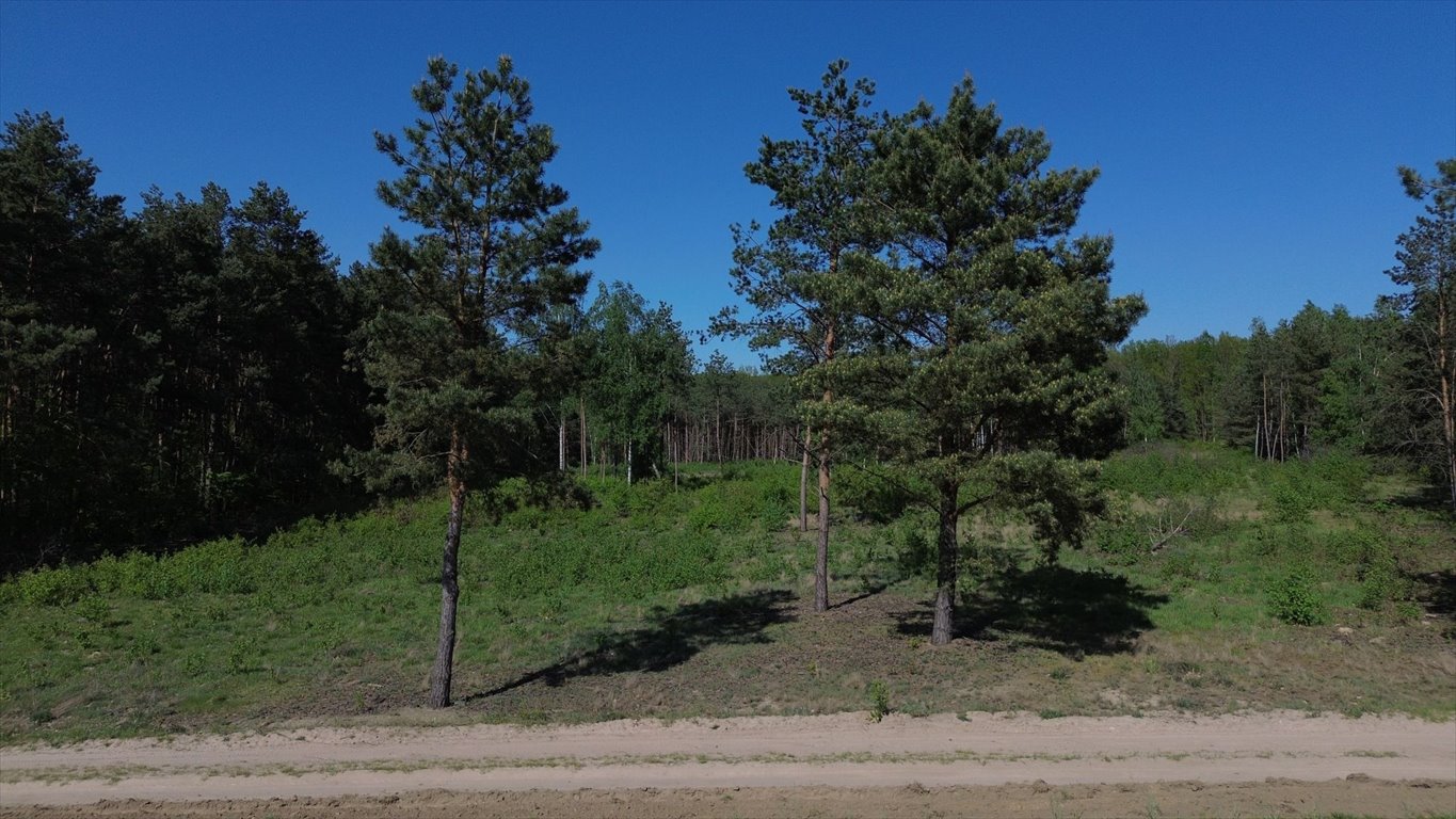 Działki budowlane w Serocku, od 1000 m2, spokojna okolica Serock, Serock  1 000m2 Foto 1