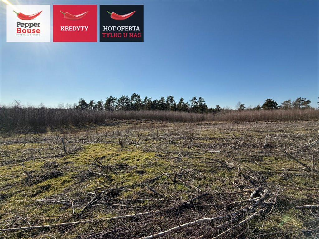 Działka 1093 m² w Chwaszczynie - media, spokojna okolica polecam Chwaszczyno, Torfowa  1 093m2 Foto 1