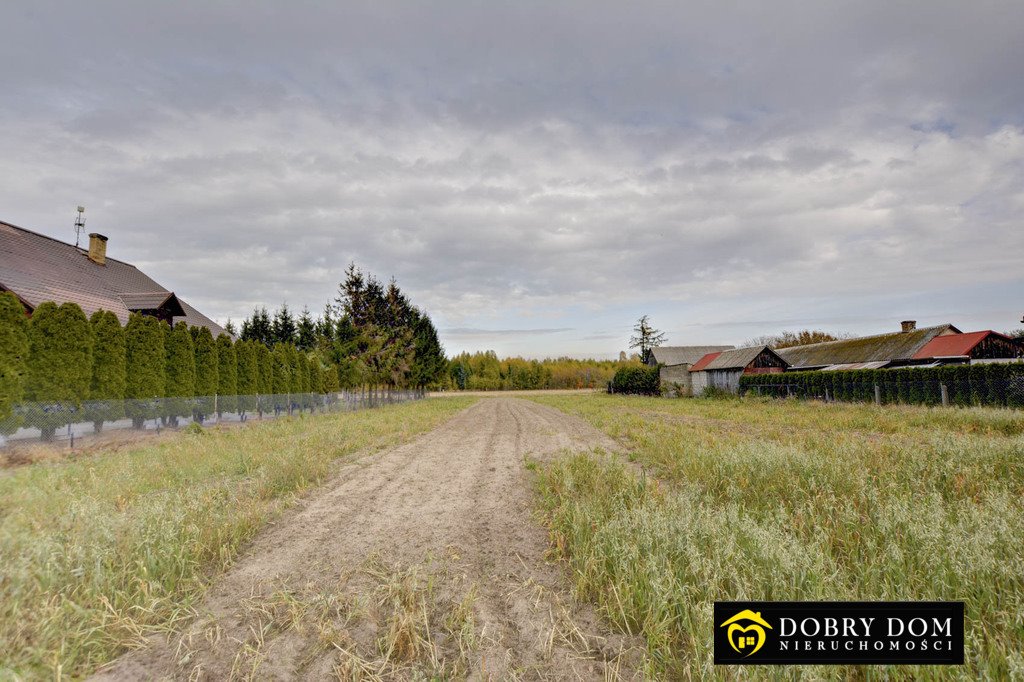 Działka 2000 m² z WZ pod dom w Hołodach, media, spokojna okolica Hołody  2 000m2 Foto 1