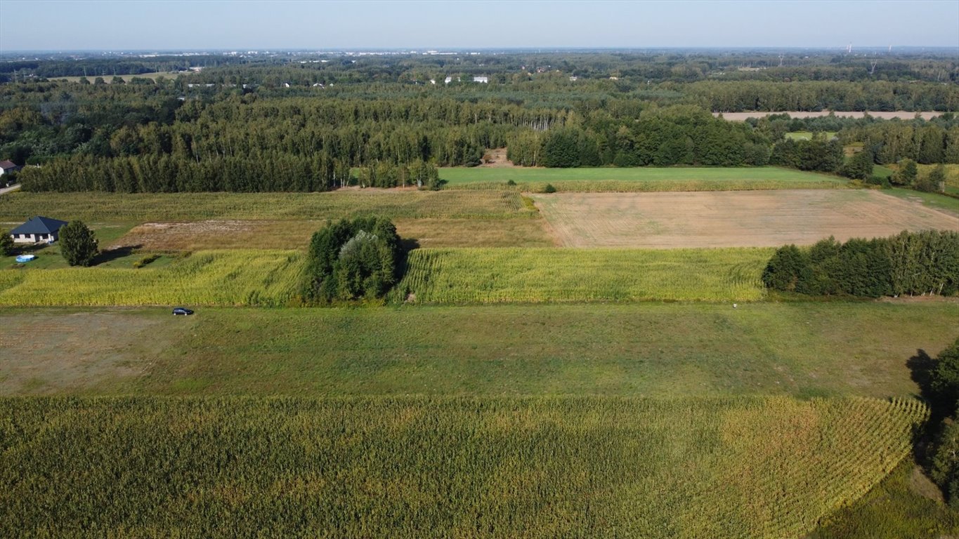 Działka rolna na sprzedaż Feliksów  5 568m2 Foto 11