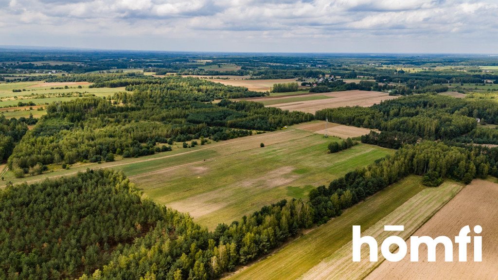 Działka rolna na sprzedaż Zdziechów  45 600m2 Foto 3