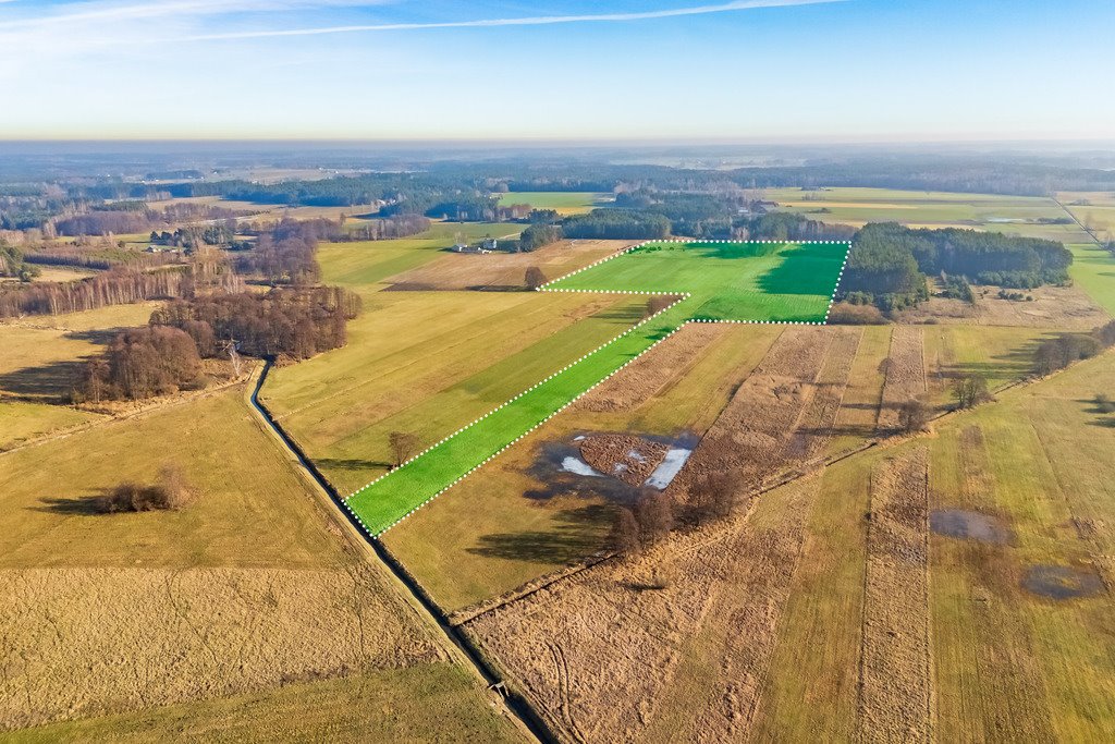 Działka siedliskowa na sprzedaż Borki  101 600m2 Foto 3