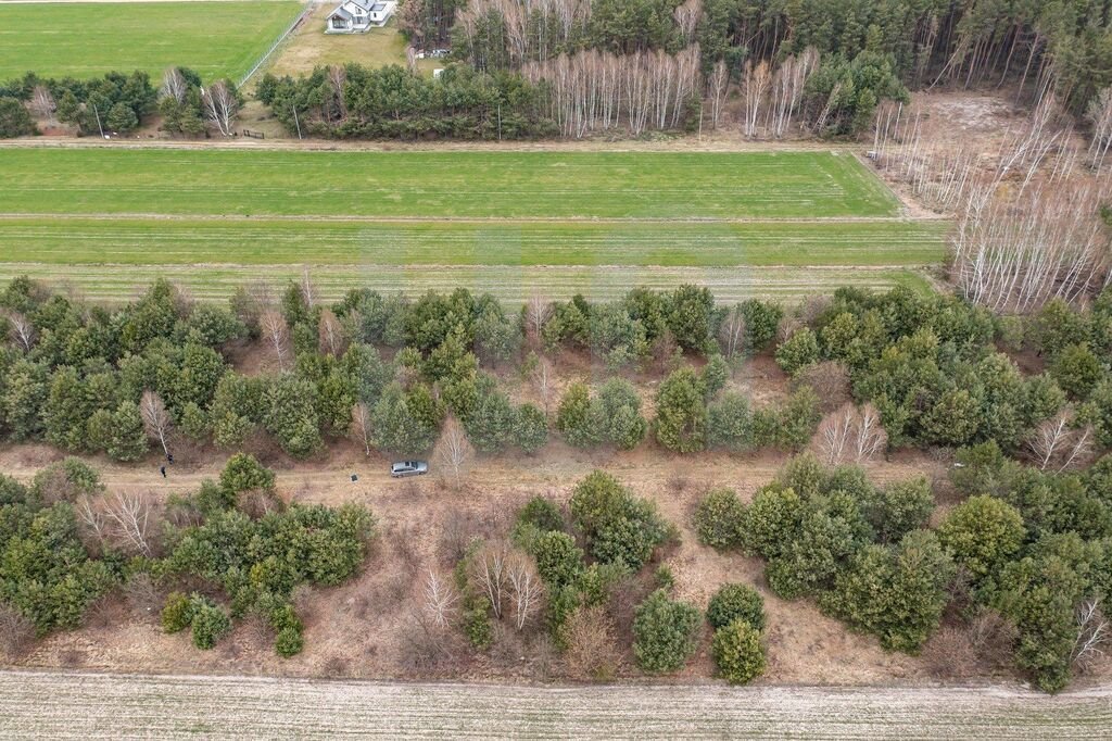 Działka budowlana na sprzedaż Królewo  3 000m2 Foto 2