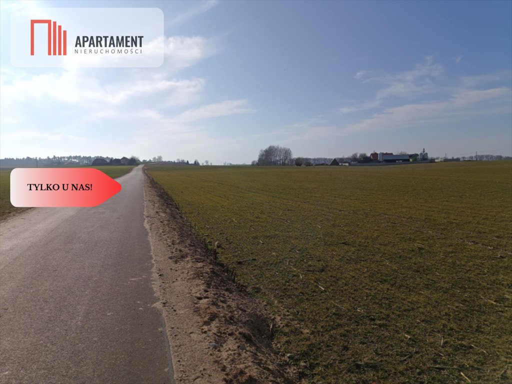Działka budowlana na sprzedaż Osetno  11 800m2 Foto 7