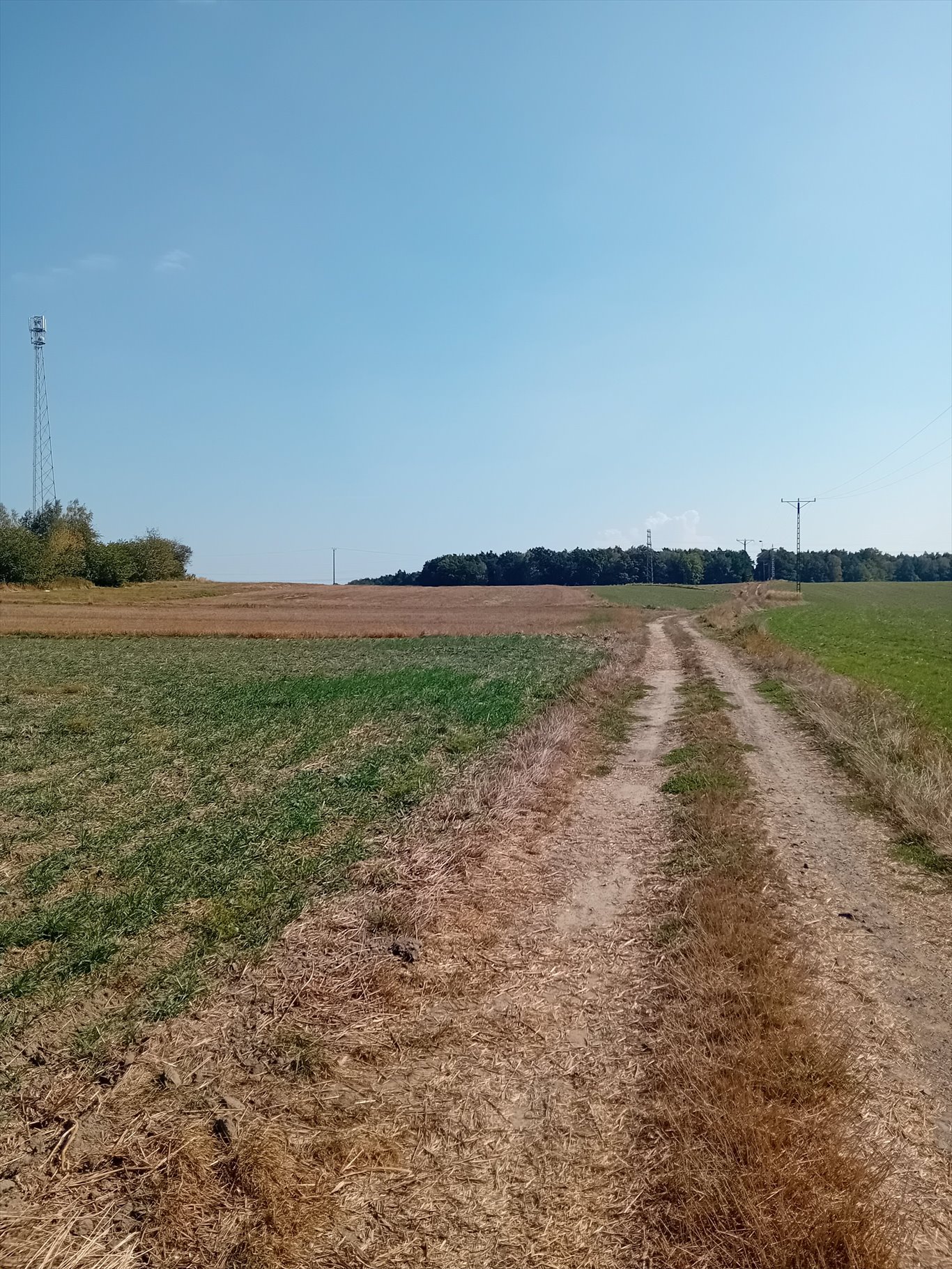 Działka rolna na sprzedaż Sierakowice  22 830m2 Foto 2