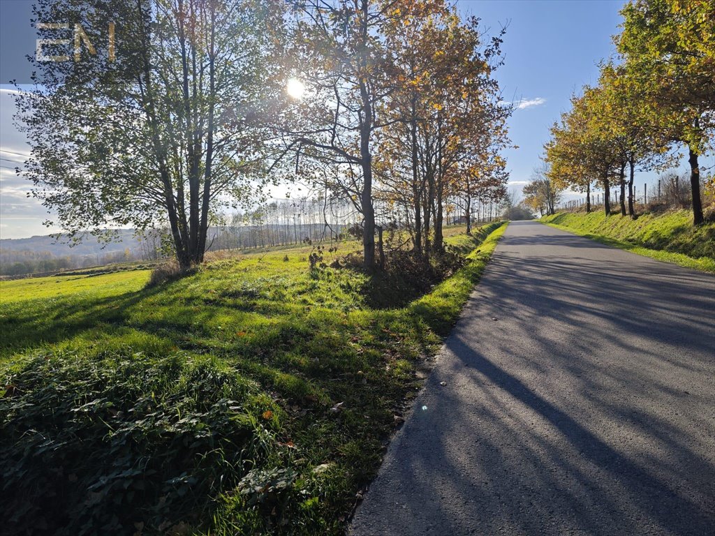 Działka budowlana na sprzedaż Konieczkowa  4 600m2 Foto 12