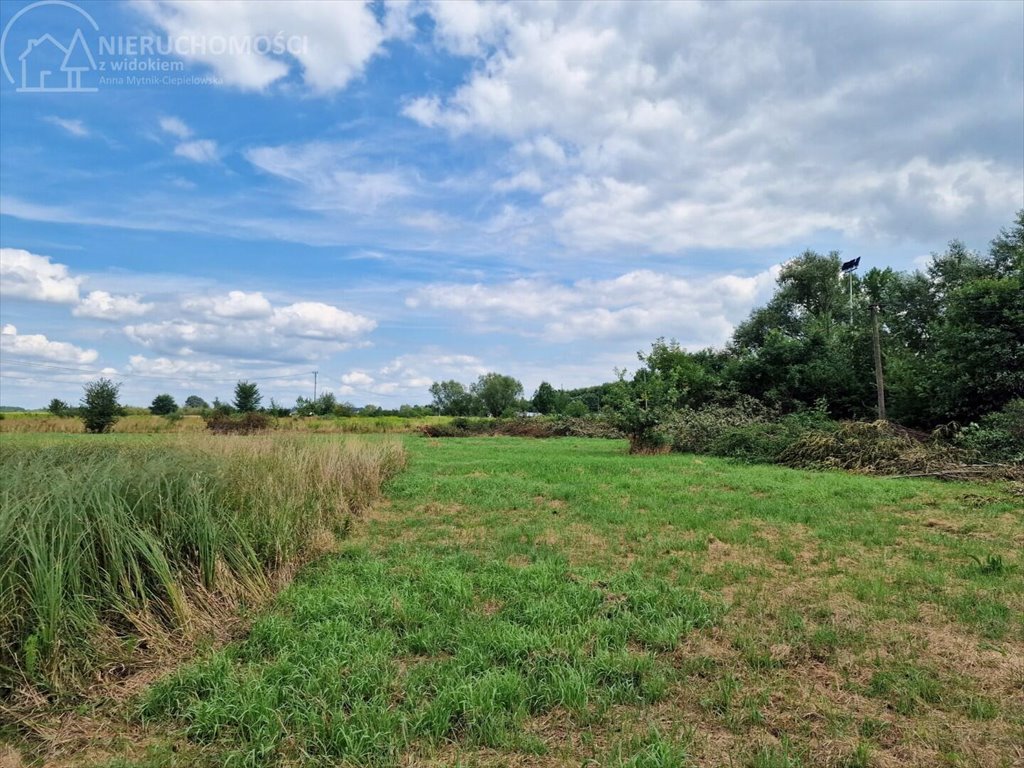 Działka budowlana na sprzedaż Krzeczów  1 100m2 Foto 9