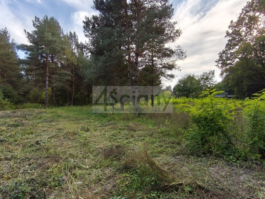 Zapraszam do zakupu działki 1500 m² pod lasem w Szczęsnem Szczęsne  1 500m2 Foto 1