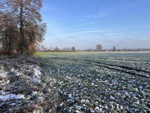 Działka rolna na sprzedaż Zawada, Brzegowa  3 823m2 Foto 1