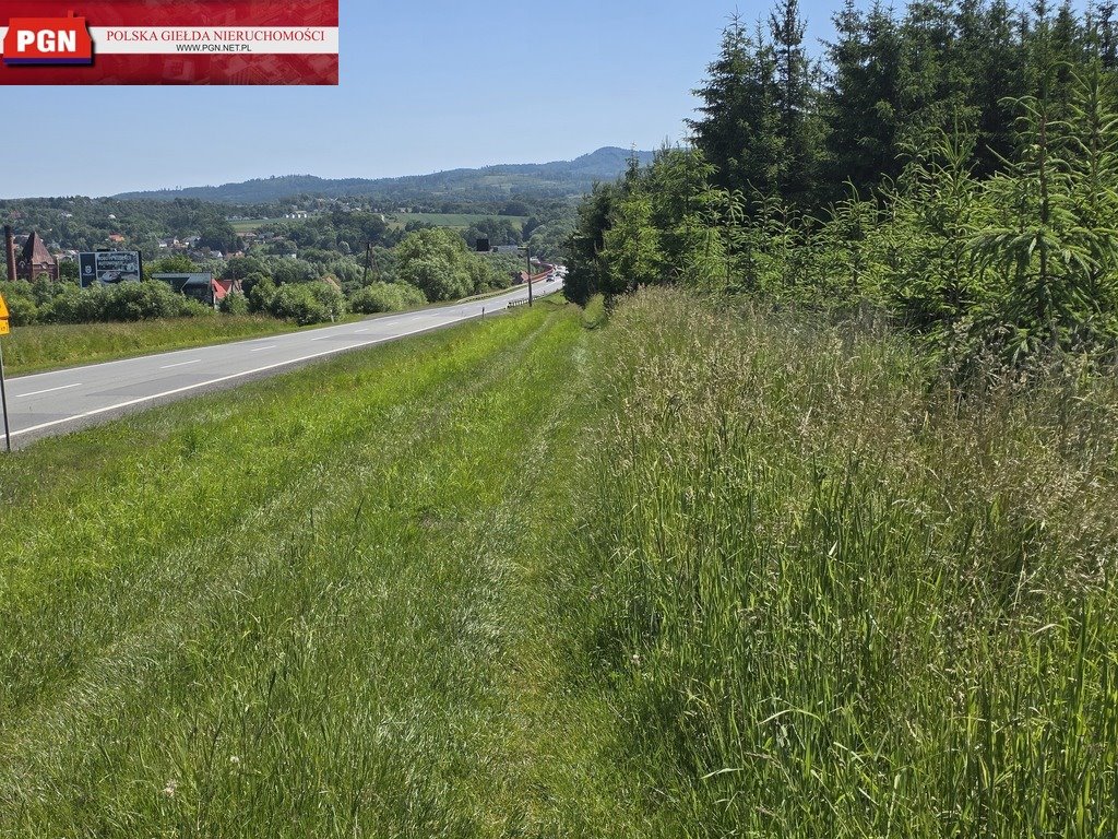 Działka inwestycyjna na sprzedaż Kłodzko  4 713m2 Foto 1