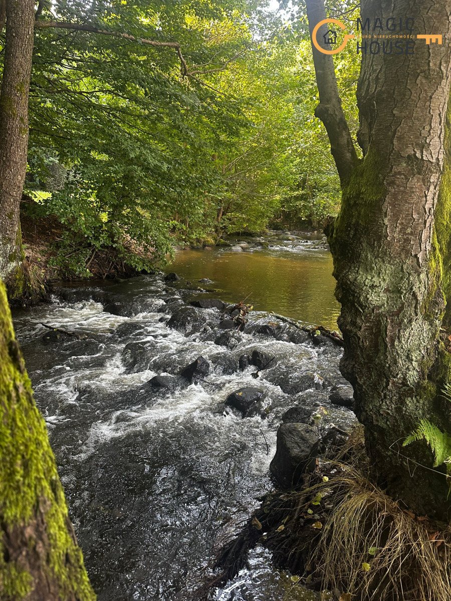 Działka siedliskowa na sprzedaż Gościcino, Cicha  9 600m2 Foto 6