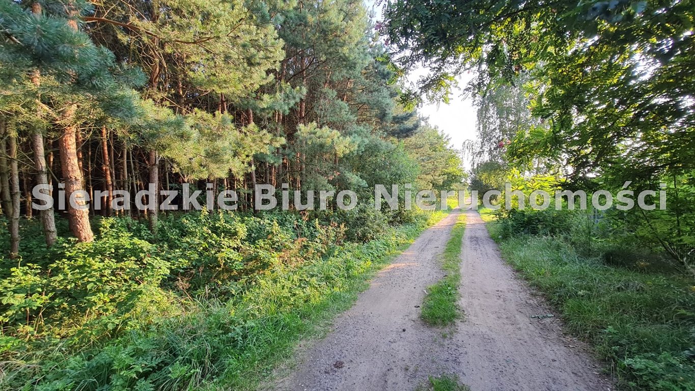 Zdjęcie 7