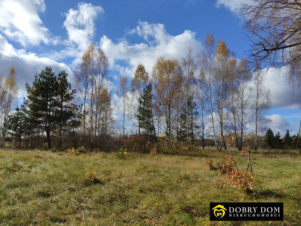 Działka siedliskowa na sprzedaż Michnówka  14 140m2 Foto 7