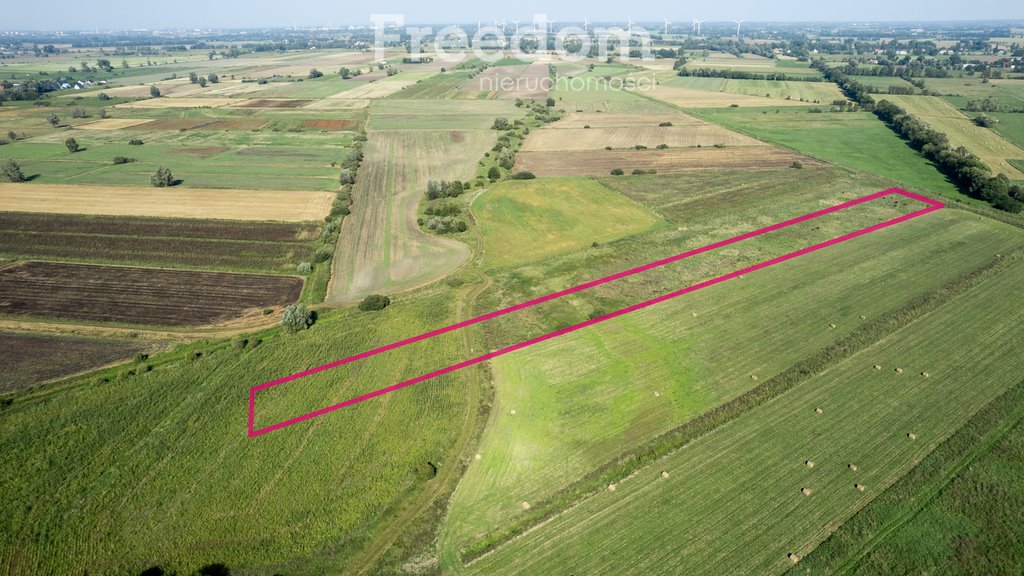 Działka rolna na sprzedaż Rokitnica  14 500m2 Foto 2