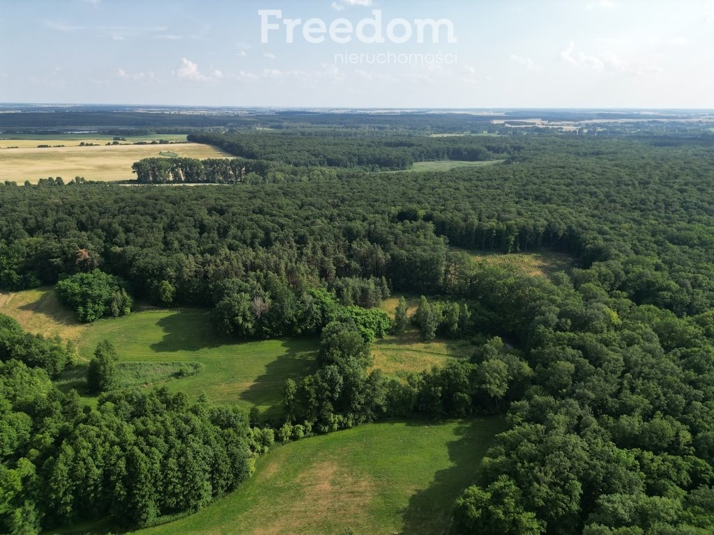 Działka inna na sprzedaż Dolsk  15 000m2 Foto 6