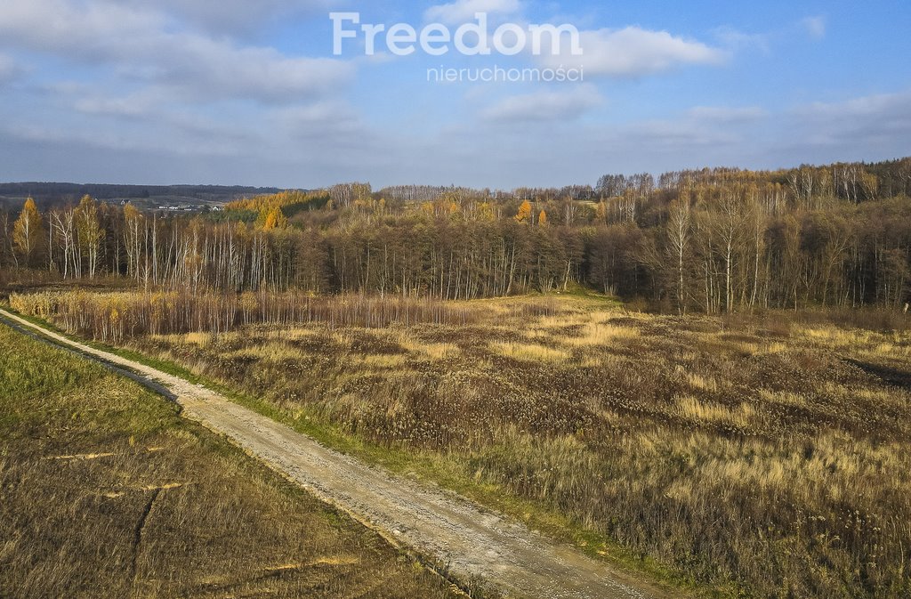 Działka budowlana na sprzedaż Rzeszów, Przybyszówka Górna, Leśne Wzgórze  3 585m2 Foto 14