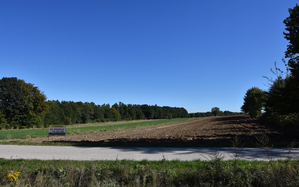 Działka rolna na sprzedaż Podleśna Wola Górna  7 490m2 Foto 5