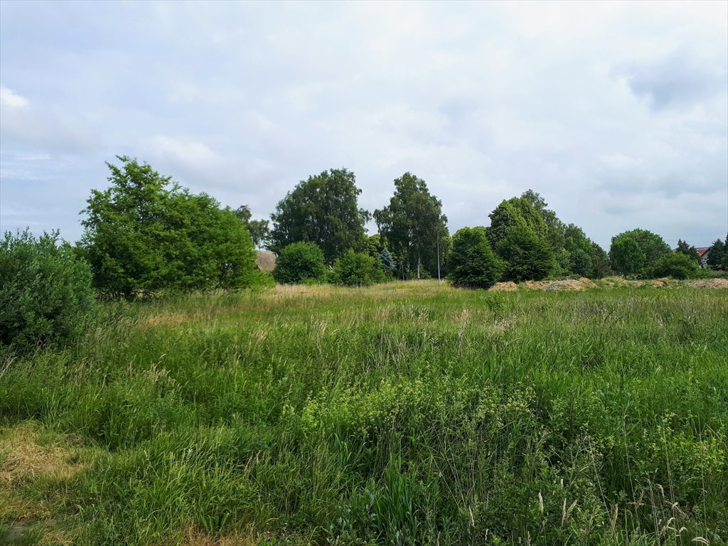 Działka budowlana na sprzedaż Budzistowo, Stare Miasto  1 519m2 Foto 3