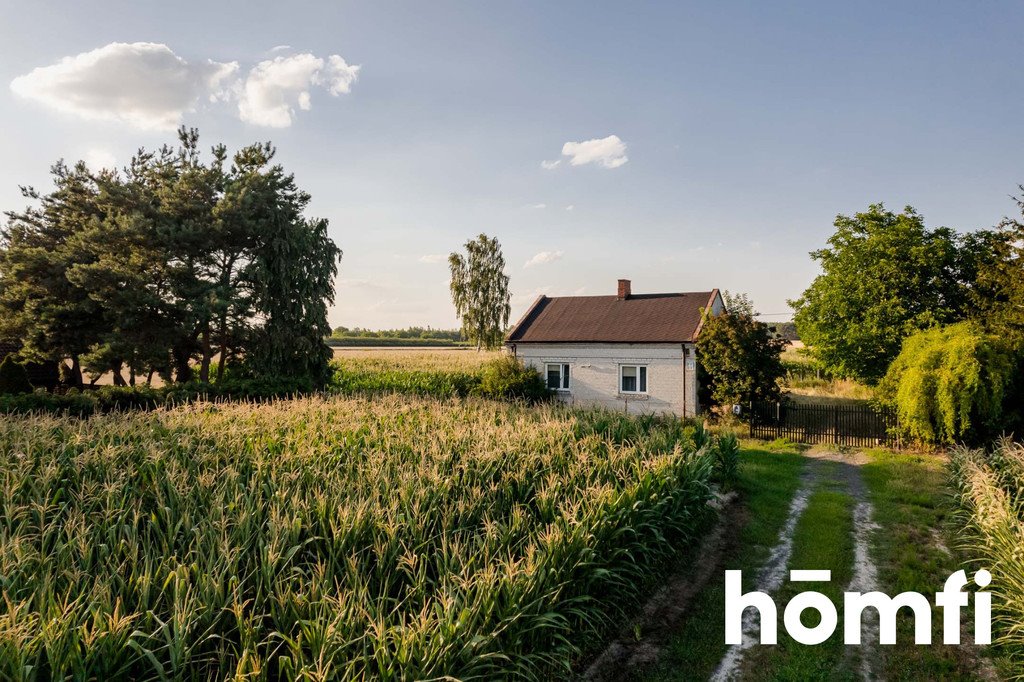 Działka siedliskowa na sprzedaż Zawady  119 300m2 Foto 1