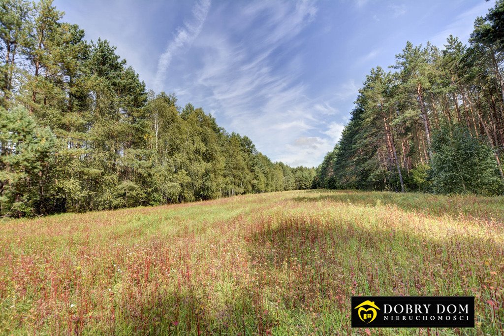 Działka 5,4 ha w lesie, rolne i rekreacyjne - zapraszam Bobrówka  54 000m2 Foto 1