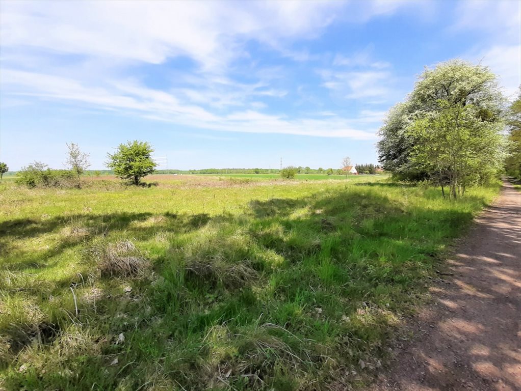 Działka budowlana na sprzedaż Wrocław  1 002m2 Foto 1
