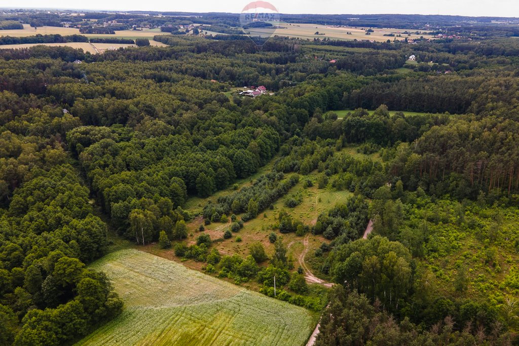 Działka siedliskowa na sprzedaż Boginia  53 419m2 Foto 5