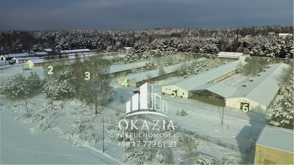 Działka inwestycyjna 51 900 m² z magazynami i infrastrukturą Wysoka Głogowska  51 900m2 Foto 1