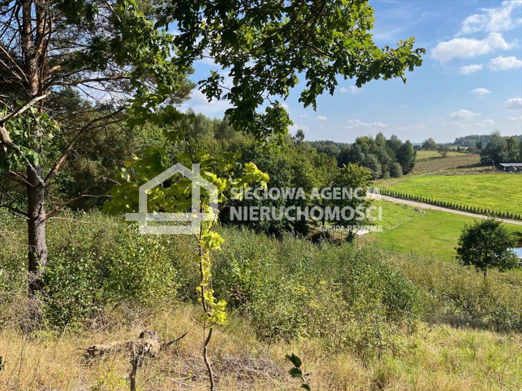 Działka siedliskowa na sprzedaż Brodnica Górna  11 494m2 Foto 1