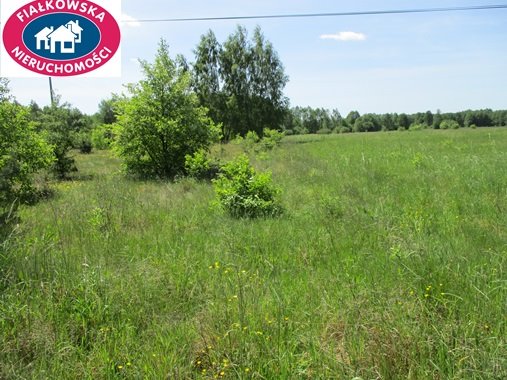 Działka budowlana na sprzedaż Długokąty  19 000m2 Foto 3